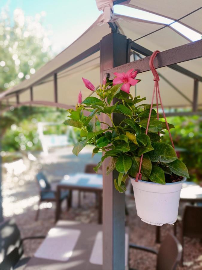 Agriturismo - B&B "La Funicolare" Francavilla Marittima Zewnętrze zdjęcie