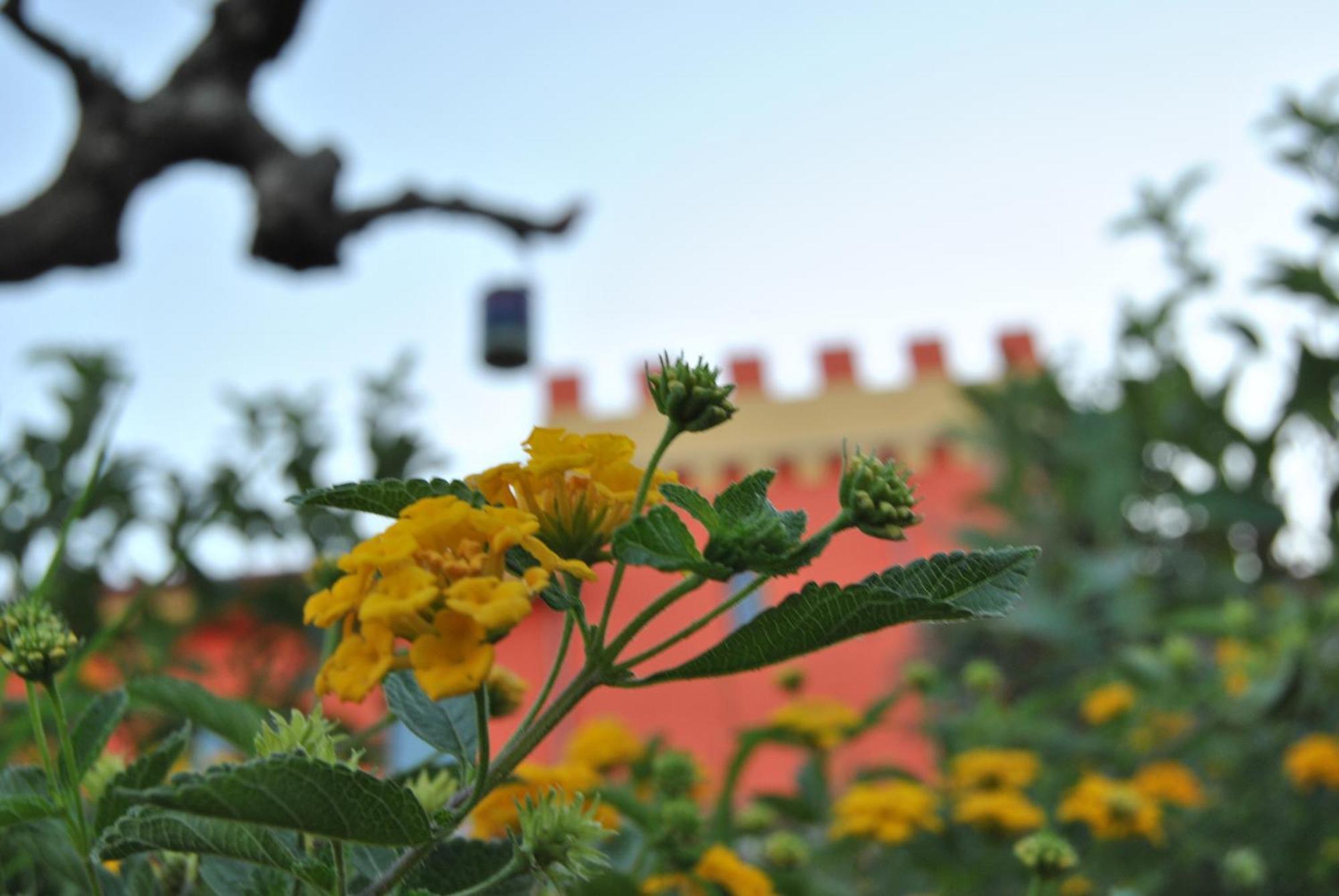 Agriturismo - B&B "La Funicolare" Francavilla Marittima Zewnętrze zdjęcie